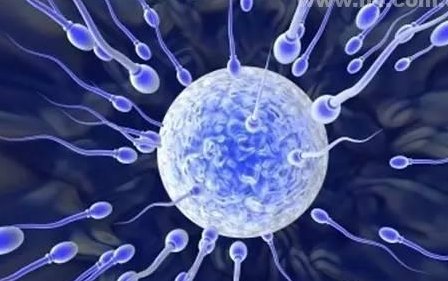 北京第二代试管婴儿费用明细是怎么样的？详细解读