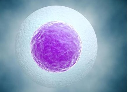 兰州940医院可以做三代试管婴儿吗？成功率高吗？