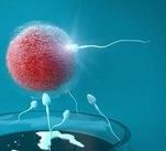 什么病情适合做试管婴儿（什么样的身体适合做试管婴儿）