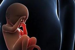 出血只是其一！试管婴儿移植后的全面注意事项大揭秘‌